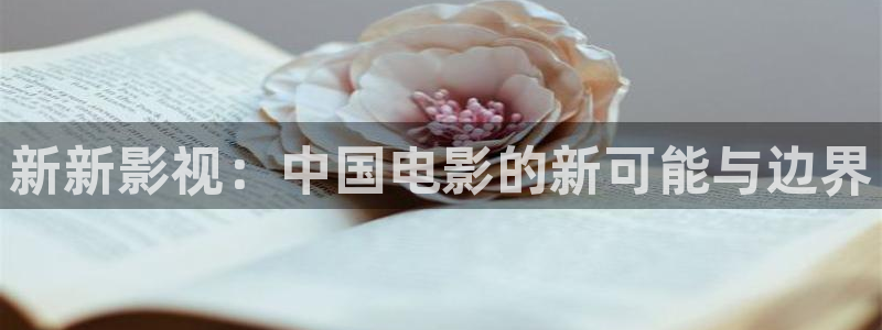 久久伊人视频网：新新影视：中国电影的新可能与边界
