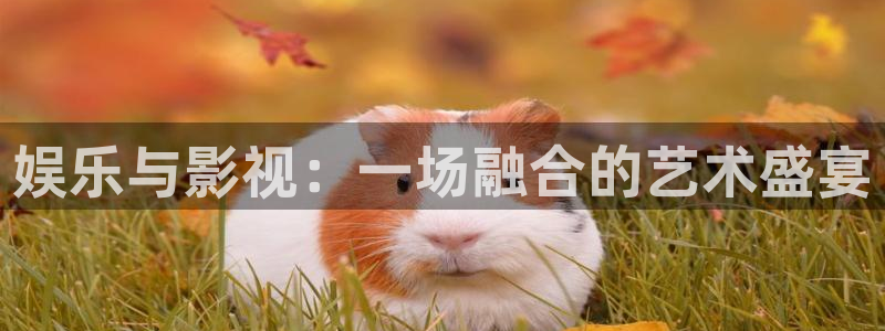 伊人影院大片：娱乐与影视：一场融合的艺术盛宴