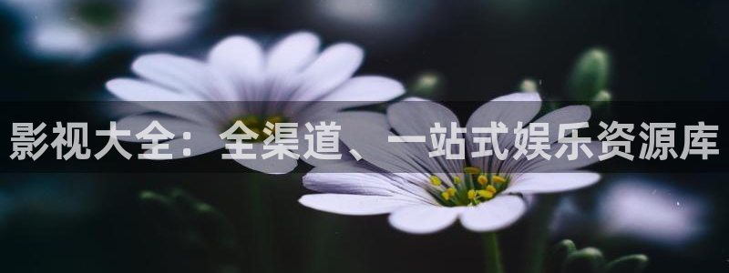 伊人影院在：影视大全：全渠道、一站式娱乐资源库