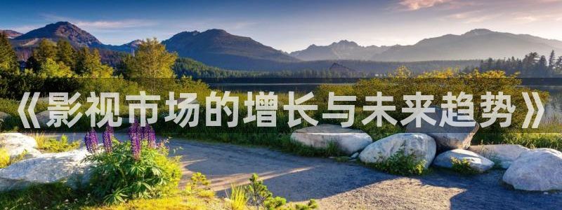 伊人影院电影：《影视市场的增长与未来趋势》