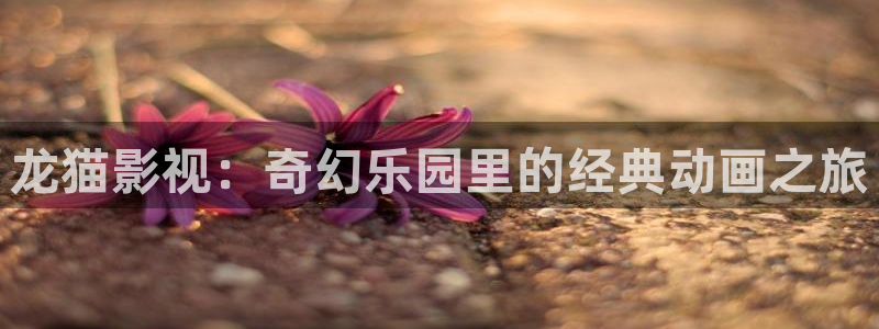 伊人影院综合久久网视频：龙猫影视：奇幻乐园里的经典动画之旅