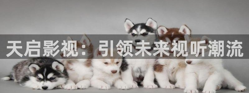 亚洲伊人影院av一区：天启影视：引领未来视听潮流