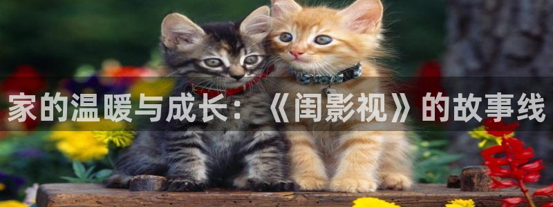伊人影院啊啊：家的温暖与成长：《闺影视》的故事线
